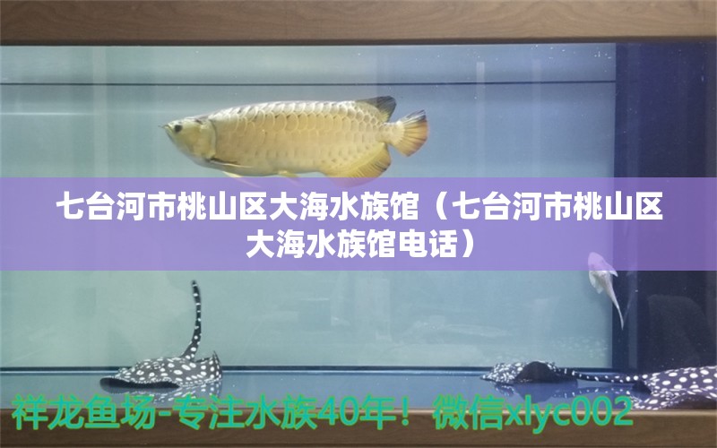 七臺河市桃山區(qū)大海水族館（七臺河市桃山區(qū)大海水族館電話） 全國水族館企業(yè)名錄