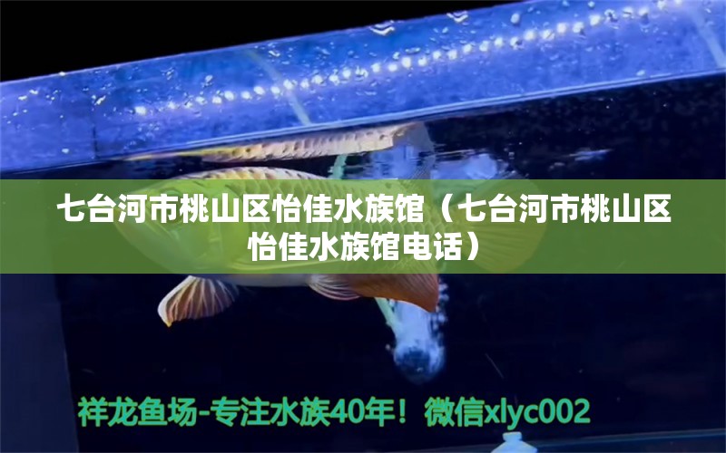 七臺河市桃山區(qū)怡佳水族館（七臺河市桃山區(qū)怡佳水族館電話） 全國水族館企業(yè)名錄