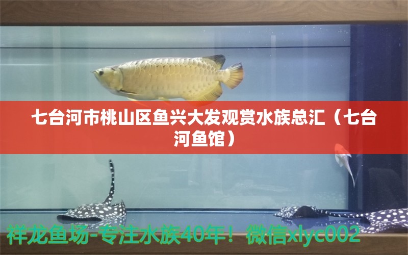 七臺河市桃山區(qū)魚興大發(fā)觀賞水族總匯（七臺河魚館）