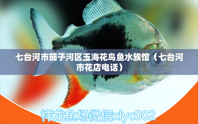 七臺(tái)河市茄子河區(qū)玉?；B魚水族館（七臺(tái)河市花店電話）