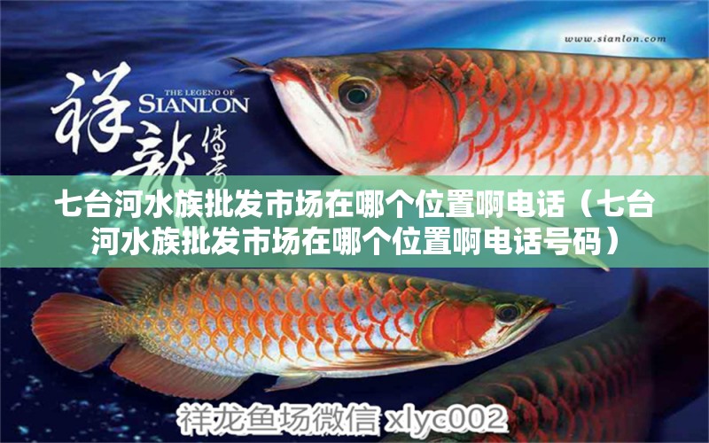 七臺河水族批發(fā)市場在哪個位置啊電話（七臺河水族批發(fā)市場在哪個位置啊電話號碼）