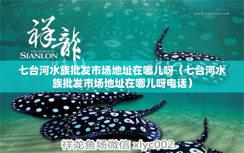 七臺河水族批發(fā)市場地址在哪兒呀（七臺河水族批發(fā)市場地址在哪兒呀電話）