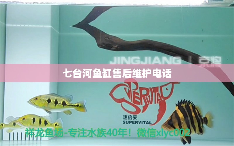 七臺(tái)河魚缸售后維護(hù)電話 其他品牌魚缸