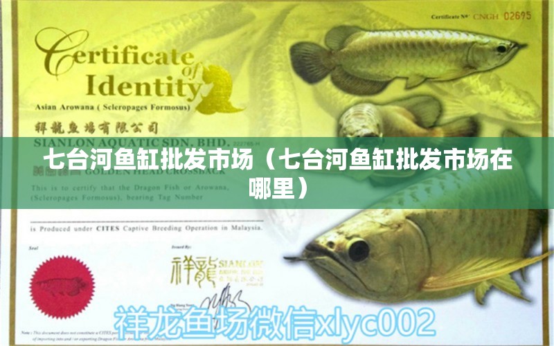 七臺河魚缸批發(fā)市場（七臺河魚缸批發(fā)市場在哪里）