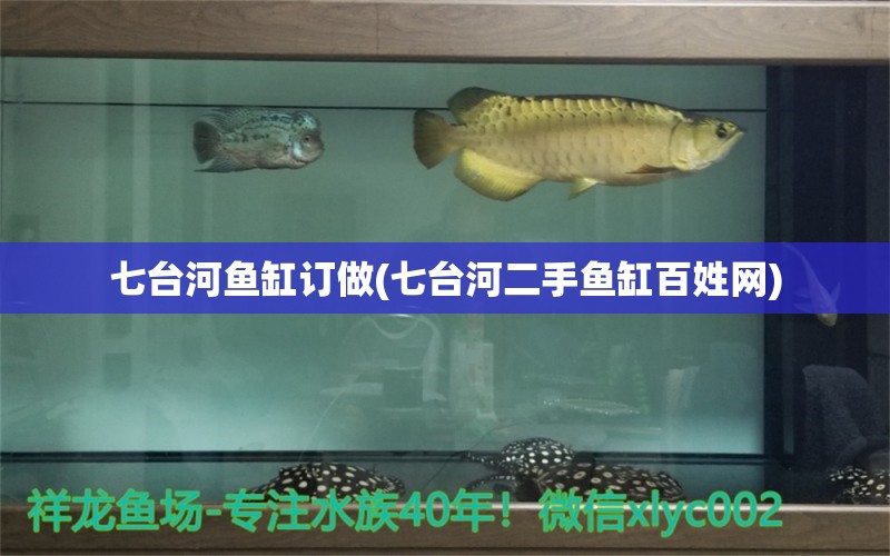 七臺河魚缸訂做(七臺河二手魚缸百姓網(wǎng))