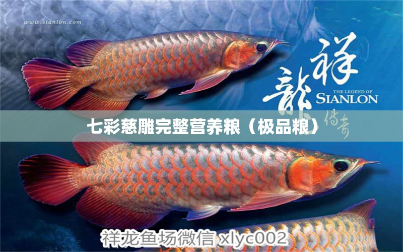 七彩慈雕完整營(yíng)養(yǎng)糧（極品糧） 慈雕魚(yú)