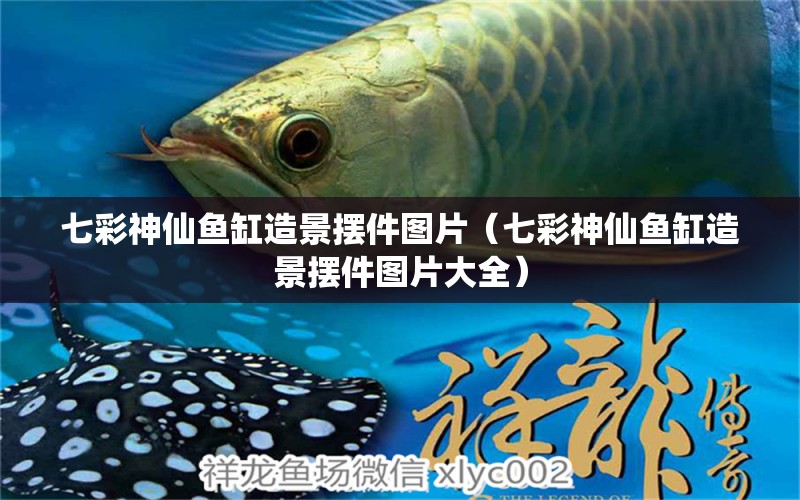 七彩神仙魚缸造景擺件圖片（七彩神仙魚缸造景擺件圖片大全）