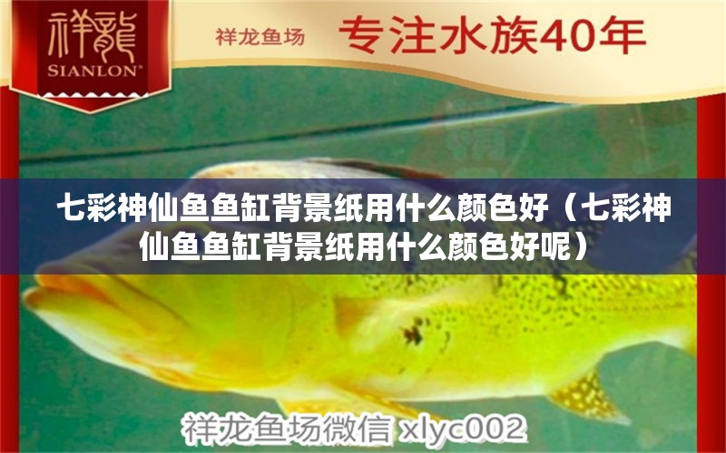 七彩神仙魚魚缸背景紙用什么顏色好（七彩神仙魚魚缸背景紙用什么顏色好呢）