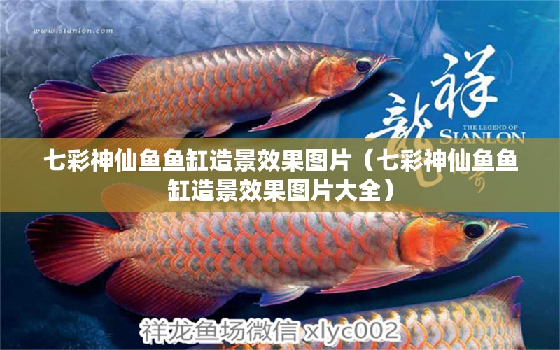 七彩神仙魚魚缸造景效果圖片（七彩神仙魚魚缸造景效果圖片大全）