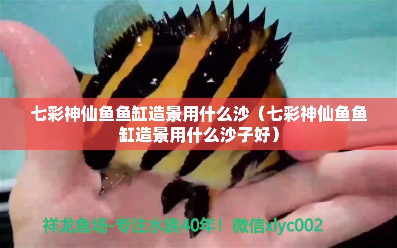 七彩神仙魚魚缸造景用什么沙（七彩神仙魚魚缸造景用什么沙子好） 七彩神仙魚