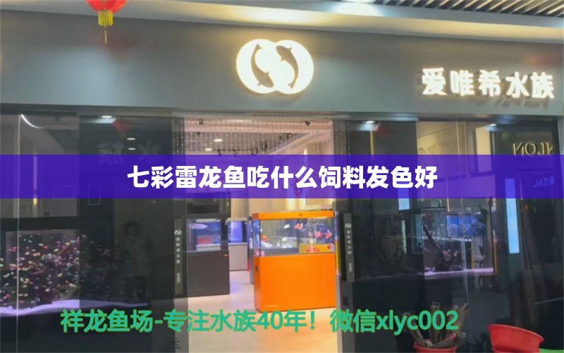 七彩雷龍魚吃什么飼料發(fā)色好 錦鯉池魚池建設(shè)