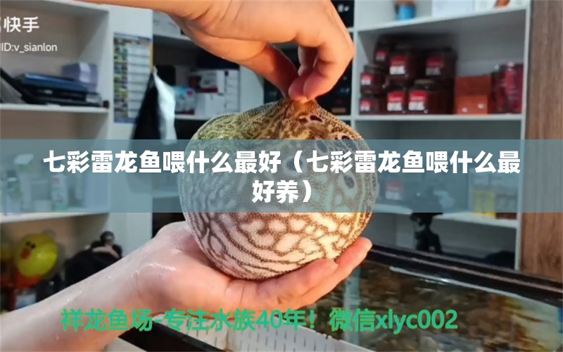 七彩雷龍魚喂什么最好（七彩雷龍魚喂什么最好養(yǎng)）