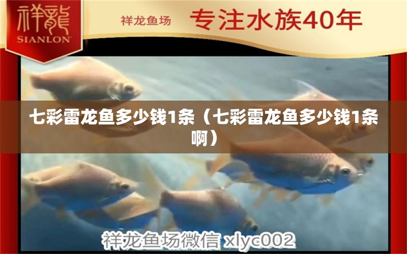 七彩雷龍魚多少錢1條（七彩雷龍魚多少錢1條?。? title=