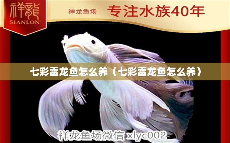 七彩雷龍魚(yú)怎么養(yǎng)（七彩雷龍魚(yú)怎么養(yǎng)）