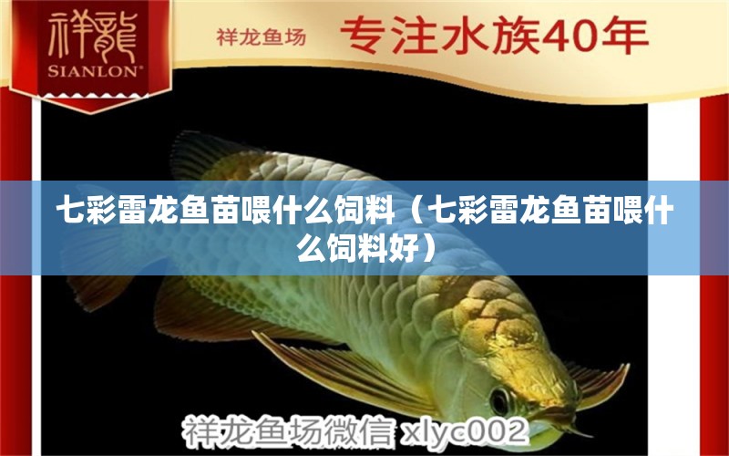 七彩雷龍魚(yú)苗喂什么飼料（七彩雷龍魚(yú)苗喂什么飼料好） 廣州龍魚(yú)批發(fā)市場(chǎng)