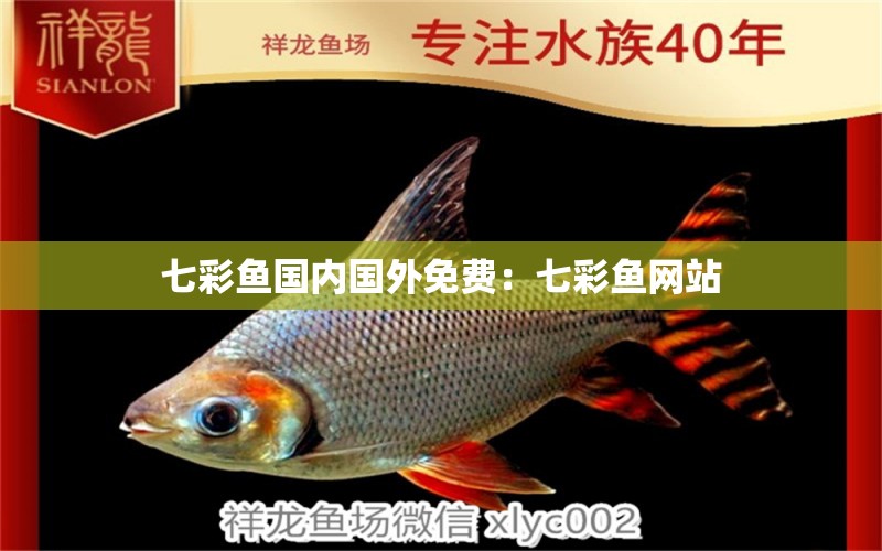 七彩魚國內(nèi)國外免費：七彩魚網(wǎng)站