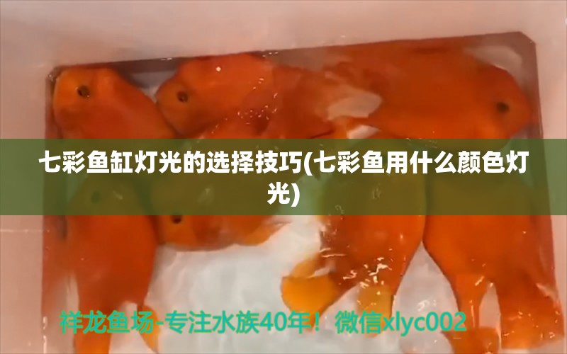 七彩魚缸燈光的選擇技巧(七彩魚用什么顏色燈光) 紅龍專用魚糧飼料 第1張