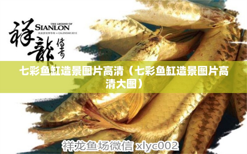 七彩魚缸造景圖片高清（七彩魚缸造景圖片高清大圖）