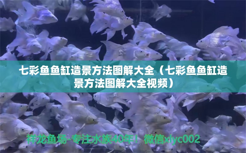 七彩魚魚缸造景方法圖解大全（七彩魚魚缸造景方法圖解大全視頻）