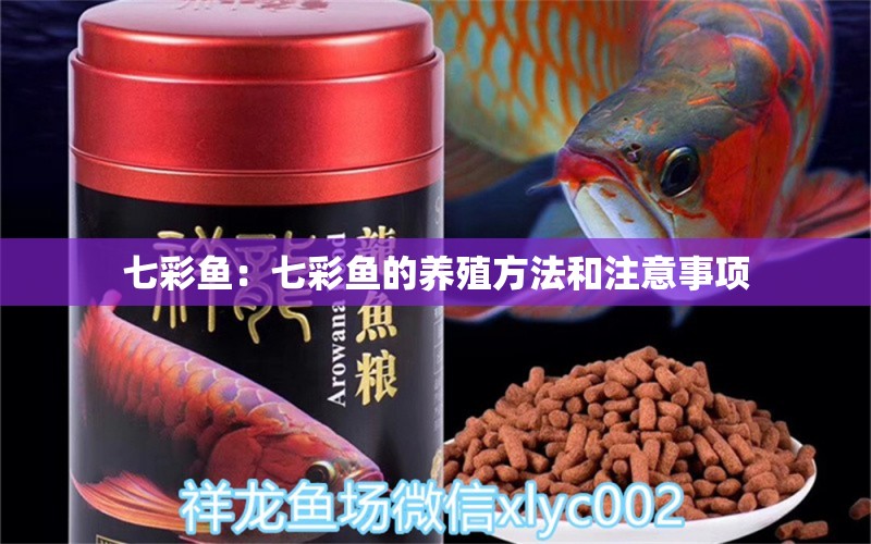 七彩魚：七彩魚的養(yǎng)殖方法和注意事項