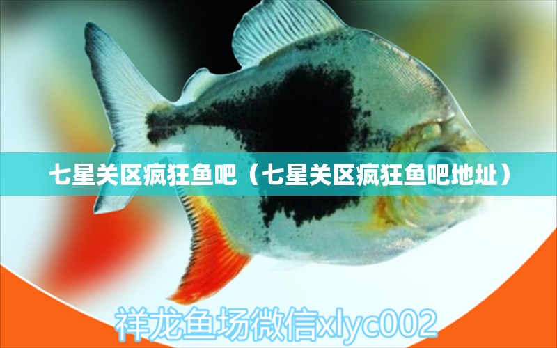 七星關(guān)區(qū)瘋狂魚吧（七星關(guān)區(qū)瘋狂魚吧地址）