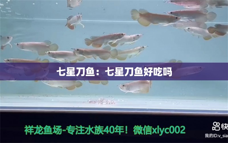 七星刀魚：七星刀魚好吃嗎