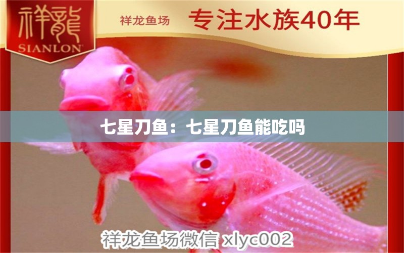 七星刀魚：七星刀魚能吃嗎