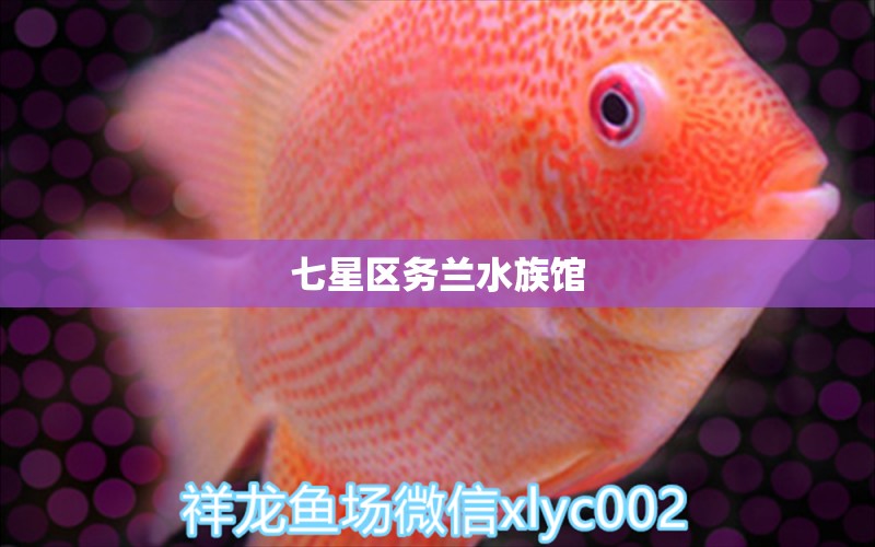 七星區(qū)務蘭水族館