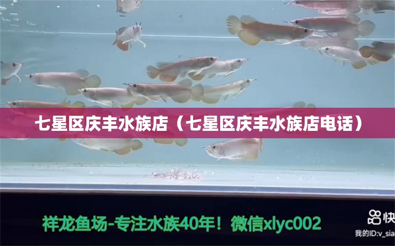 七星區(qū)慶豐水族店（七星區(qū)慶豐水族店電話）