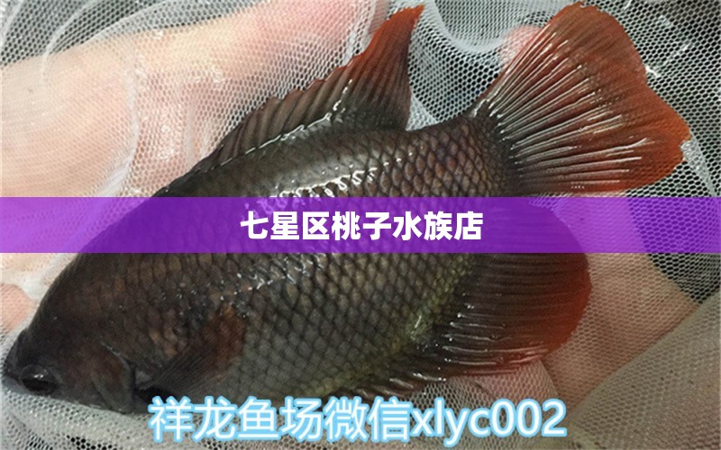 七星區(qū)桃子水族店 全國水族館企業(yè)名錄 第3張