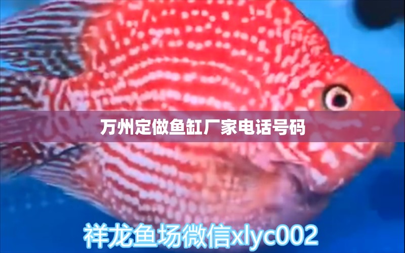 萬州定做魚缸廠家電話號碼