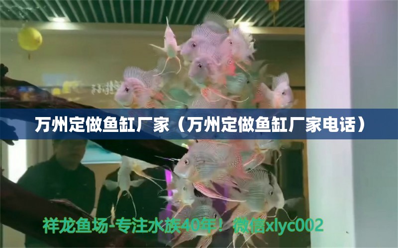 萬州定做魚缸廠家（萬州定做魚缸廠家電話） 其他品牌魚缸