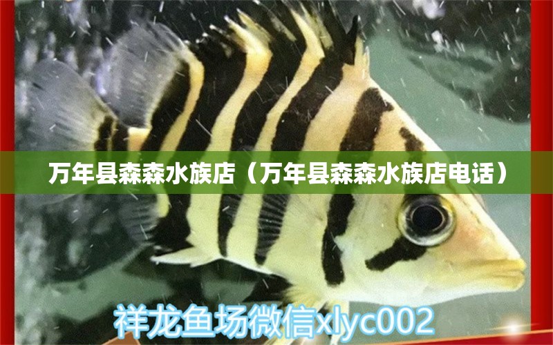 萬年縣森森水族店（萬年縣森森水族店電話） 全國水族館企業(yè)名錄