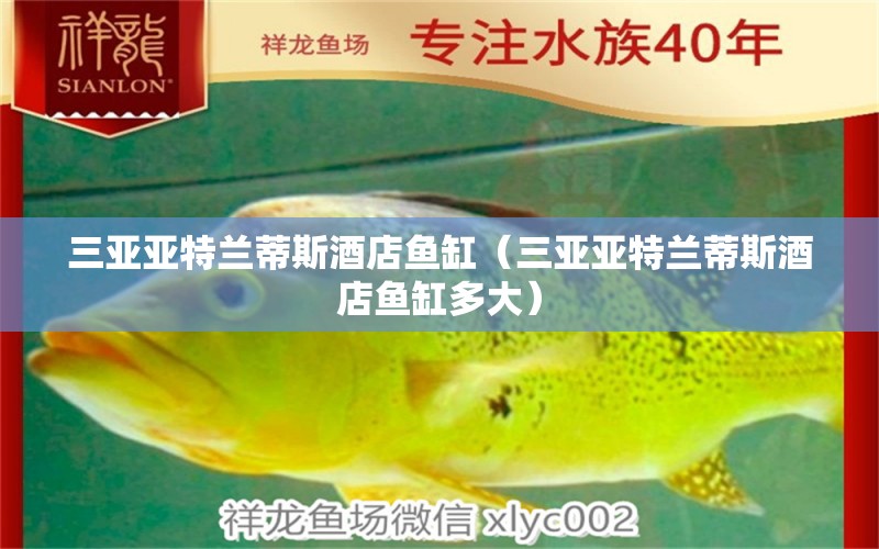 三亞亞特蘭蒂斯酒店魚缸（三亞亞特蘭蒂斯酒店魚缸多大） 黃金達(dá)摩魚