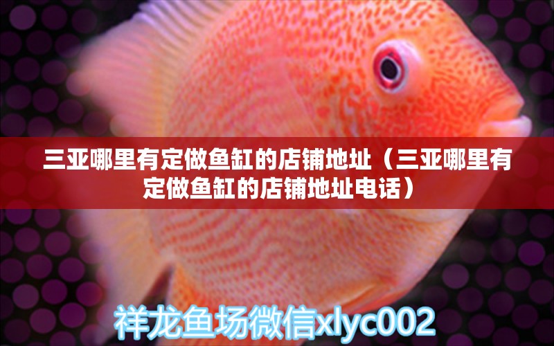 三亞哪里有定做魚缸的店鋪地址（三亞哪里有定做魚缸的店鋪地址電話）