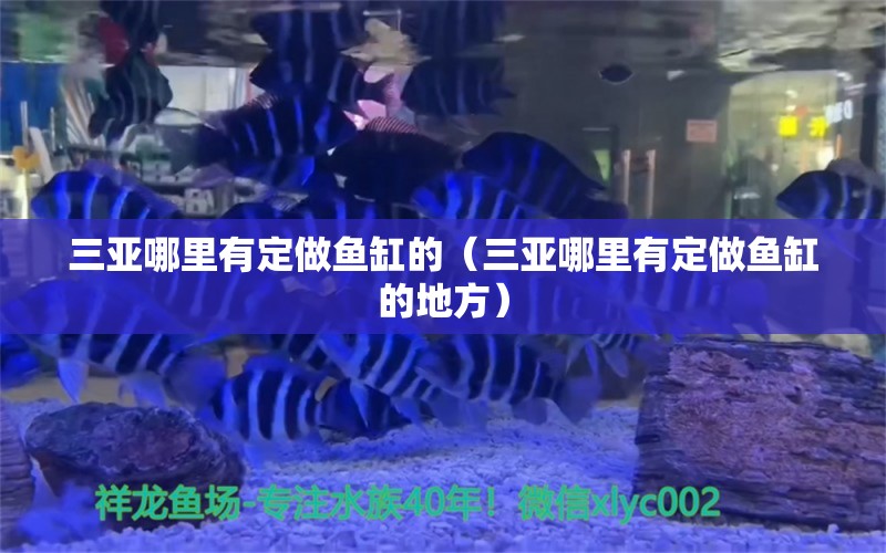 三亞哪里有定做魚缸的（三亞哪里有定做魚缸的地方）