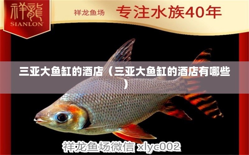 三亞大魚缸的酒店（三亞大魚缸的酒店有哪些） 其他品牌魚缸