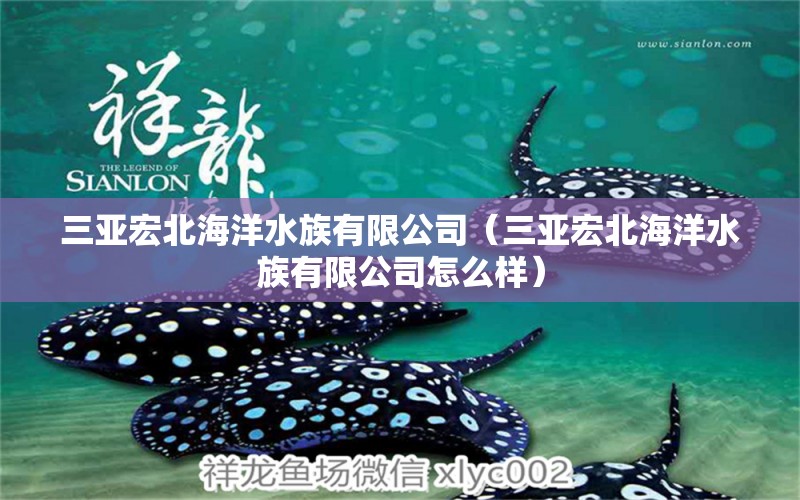 三亞宏北海洋水族有限公司（三亞宏北海洋水族有限公司怎么樣）