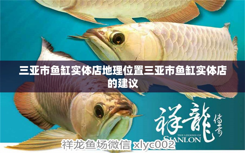 三亞市魚缸實(shí)體店地理位置三亞市魚缸實(shí)體店的建議