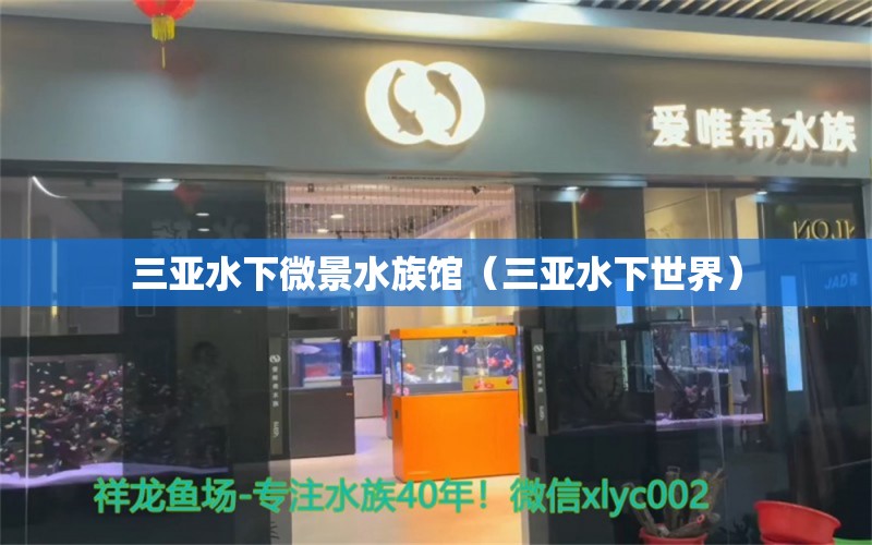 三亞水下微景水族館（三亞水下世界） 全國水族館企業(yè)名錄