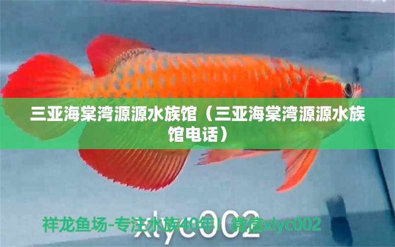 三亞海棠灣源源水族館（三亞海棠灣源源水族館電話(huà)）