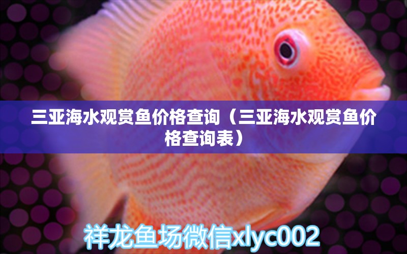 三亞海水觀賞魚價(jià)格查詢（三亞海水觀賞魚價(jià)格查詢表） 祥龍魚場