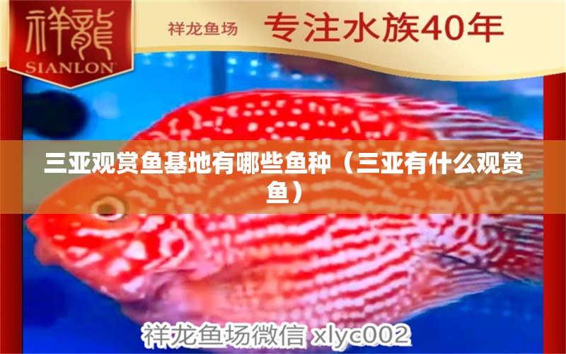 三亞觀賞魚(yú)基地有哪些魚(yú)種（三亞有什么觀賞魚(yú)） 祥龍水族醫(yī)院