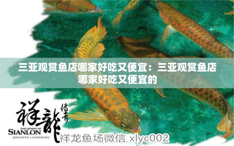 三亞觀賞魚店哪家好吃又便宜：三亞觀賞魚店哪家好吃又便宜的