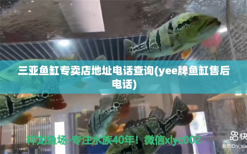 三亞魚缸專賣店地址電話查詢(yee牌魚缸售后電話)