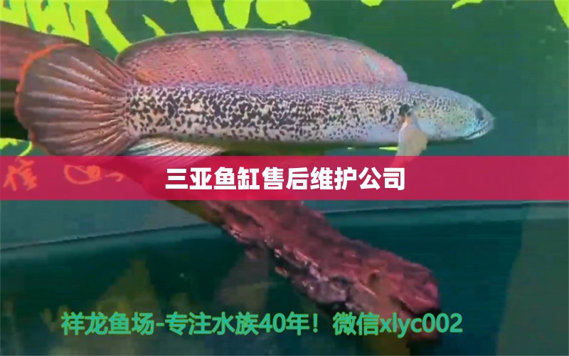 三亞魚缸售后維護(hù)公司 其他品牌魚缸