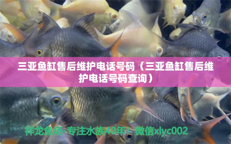 三亞魚(yú)缸售后維護(hù)電話(huà)號(hào)碼（三亞魚(yú)缸售后維護(hù)電話(huà)號(hào)碼查詢(xún)） 其他品牌魚(yú)缸