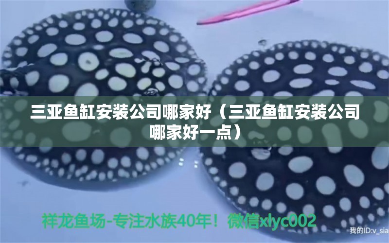 三亞魚缸安裝公司哪家好（三亞魚缸安裝公司哪家好一點） 七彩神仙魚