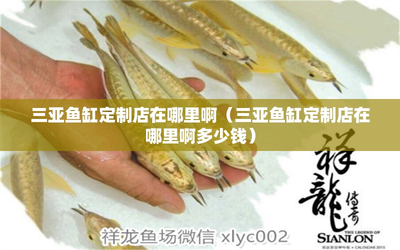 三亞魚缸定制店在哪里?。ㄈ齺嗶~缸定制店在哪里啊多少錢）