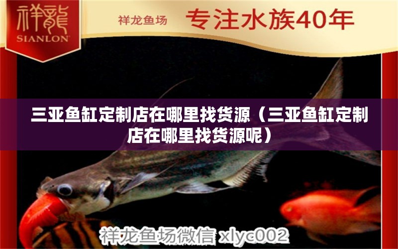 三亞魚(yú)缸定制店在哪里找貨源（三亞魚(yú)缸定制店在哪里找貨源呢）